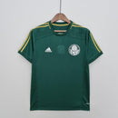 Palmeiras Retro Jersey 2014/15 Home