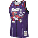 Men's Damon Stoudamire Toronto Raptors Mitchell & Ness 1995-96 Hardwood Classics Swingman Jersey - Purple