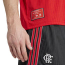 Flamengo Icon 2025 Jersey