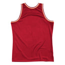 Men's Miami Heat Mitchell & Ness Red Hardwood Classics Blown Out Fashion Jersey