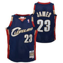Youth Cleveland Cavaliers LeBron James Mitchell & Ness Navy 2008-09 Hardwood Classics Swingman Jersey