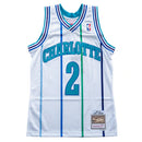 Men's Mitchell & Ness Larry Johnson Charlotte Hornets White 1992-93 Hardwood Classics Swingman Jersey