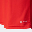SC Internacional 2023/24 Home Jersey