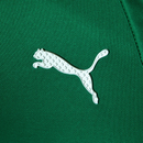 SE Palmeiras Motorsports shirt
