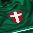 SE Palmeiras Motorsports shirt