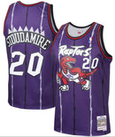 Men's Damon Stoudamire Toronto Raptors Mitchell & Ness 1995-96 Hardwood Classics Swingman Jersey - Purple