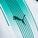 SE Palmeiras 2023/24 Away Jersey