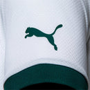 SE Palmeiras 2023/24 Away Jersey