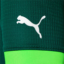 SE Palmeiras 2023/24 Home Jersey