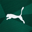 SE Palmeiras 2023/24 Home Jersey